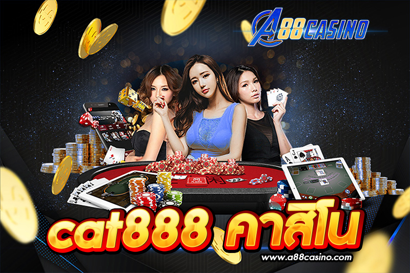 cat888 คาสิโน