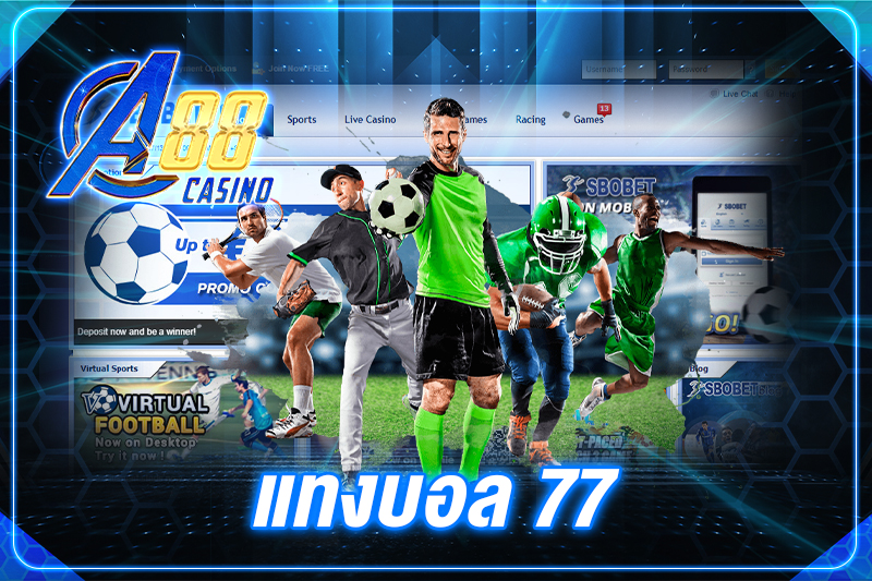 แทงบอล 77