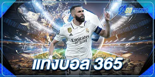 แทงบอล 365 2