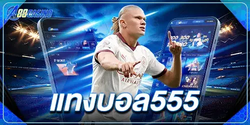 แทงบอล555 3